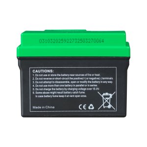 Аккумулятор FUBAG li-ion 3Ah для инверторного генератора TI 11000 A ES (арт. 646211) купить в Череповце